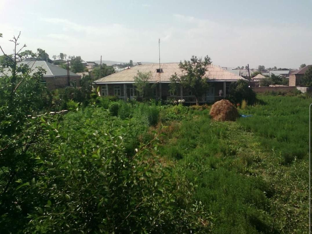 The Lichk Lodge Екстериор снимка