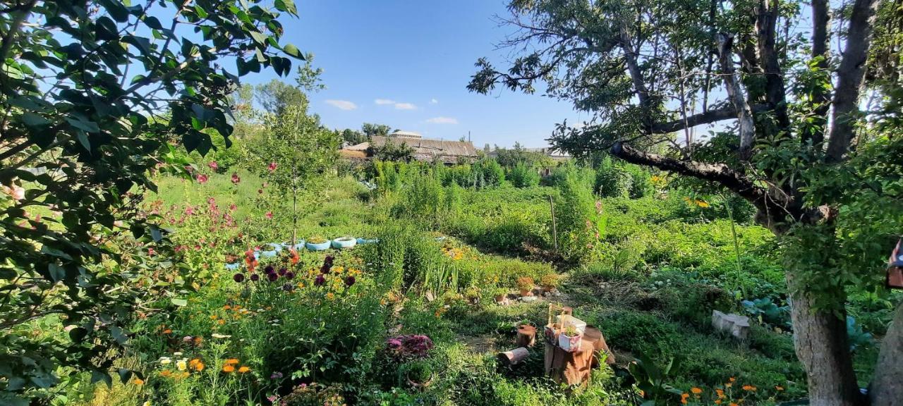 The Lichk Lodge Екстериор снимка